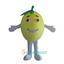 Fruit Grapefruit Uniform, Fruit Grapefruit Mascot Costume