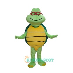 Green Turtle Custom Uniform, Green Turtle Custom Mascot Costume