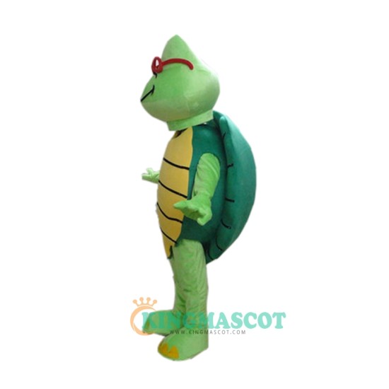 Green Turtle Custom Uniform, Green Turtle Custom Mascot Costume