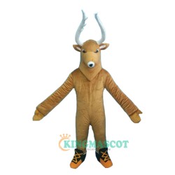 Deer Custom Uniform, Deer Custom Mascot Costume