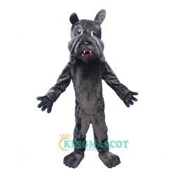 Grey Dog Uniform, Grey Dog Mascot Costume