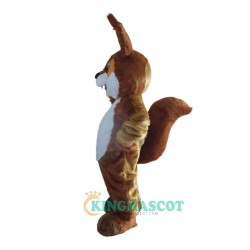 Brown Squirrel Custom Uniform, Brown Squirrel Custom Mascot Costume
