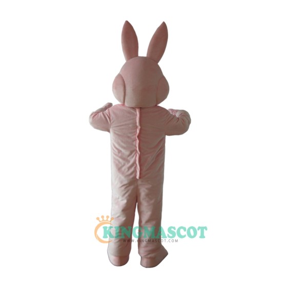 Rabbit Uniform, Celebrating the Easter Bunny Rabbit Mascot Costume