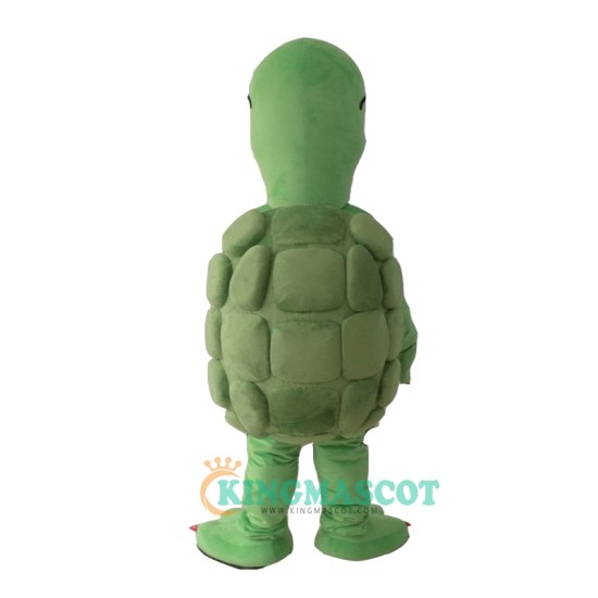 Green Turtle Uniform, Green Turtle Mascot Costume