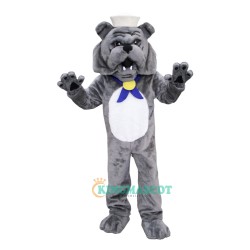 School Bulldog Uniform, School Bulldog Mascot Costume