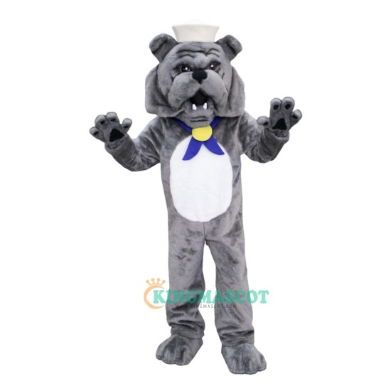 School Bulldog Uniform, School Bulldog Mascot Costume