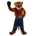 Sport Tiger Uniform, Sport Tiger Mascot Costume