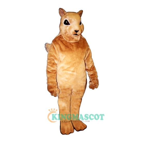 Squirrely Uniform, Squirrely Mascot Costume