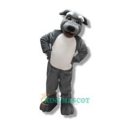 Wolfhound Uniform, College Happy Wolfhound Mascot Costume