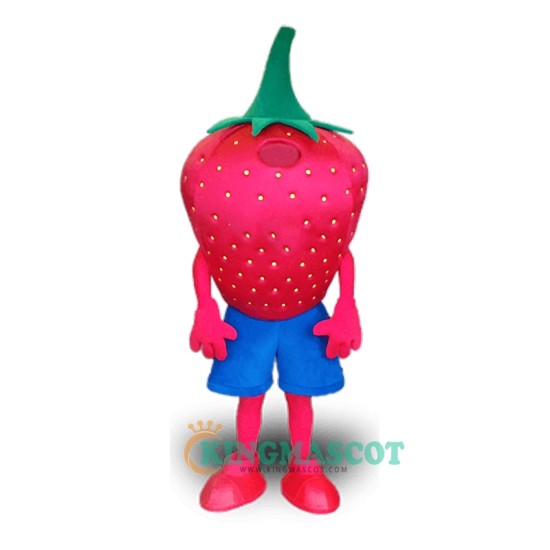 Strawberry Character Uniform, Strawberry Character Mascot Costume