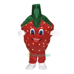 Strawberry Uniform, Strawberry Mascot Costume