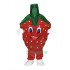Strawberry Uniform, Strawberry Mascot Costume