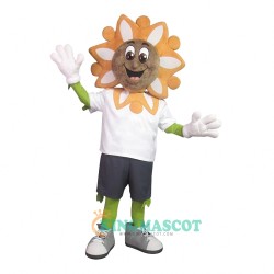 Sunny Uniform, Sunny Mascot Costume