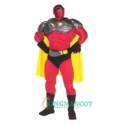 Super Hero Uniform, Super Hero Mascot Costume