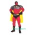 Super Hero Uniform, Super Hero Mascot Costume