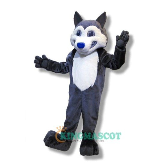 Husky Dog Uniform, College Husky Dog Mascot Costume