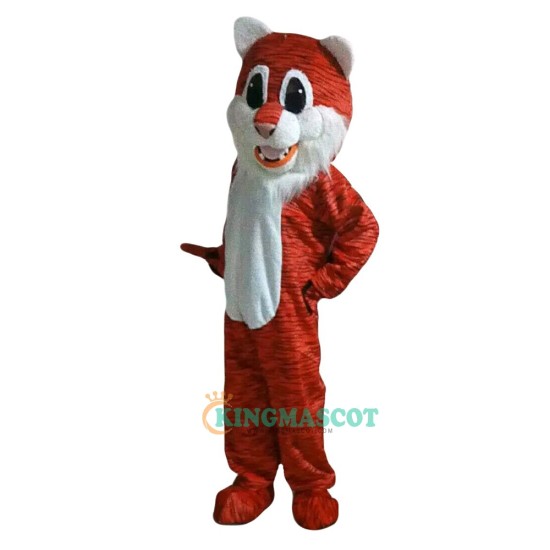 Tiger Uniform, Tiger Mascot Costume