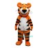 Topsail Tiger Uniform, Topsail Tiger Mascot Costume
