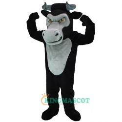 Toro Uniform, Toro Mascot Costume