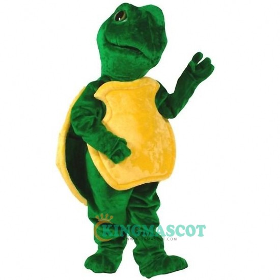 Turtle Uniform, Turtle Mascot Costume