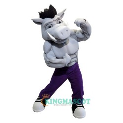 Pig Uniform, College Power Pig Mascot Costume