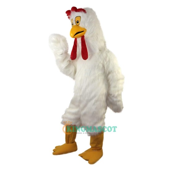 Bird Cartoon  Uniform, White Long-Haired Chicken