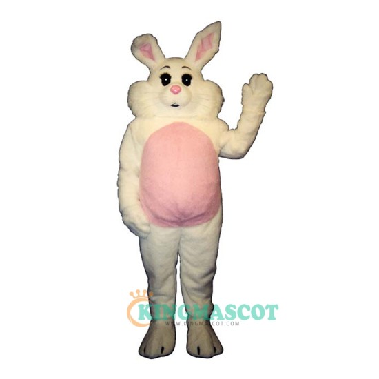 Willy Rabbit Uniform, Willy Rabbit Mascot Costume