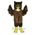 Wise Owl Uniform, Wise Owl Mascot Costume