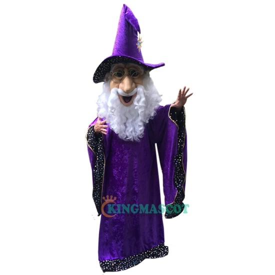 Wizard Uniform, Wizard Mascot Costume