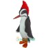 Woodpecker Uniform, Woodpecker Mascot Costume