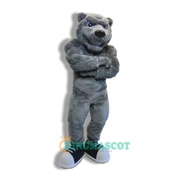 Bear Uniform, Power College Bear Mascot Costume